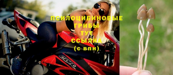 стаф Бородино
