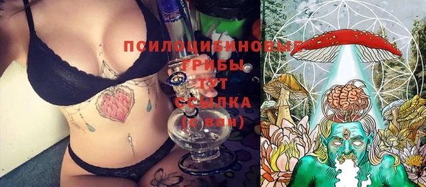 стаф Бородино