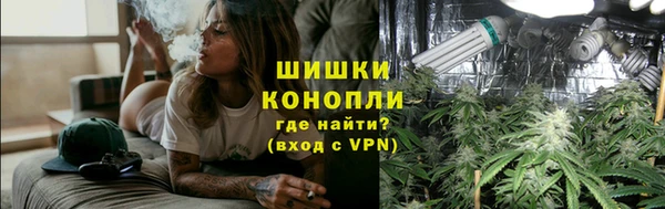 дживик Бронницы