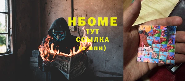 дживик Бронницы